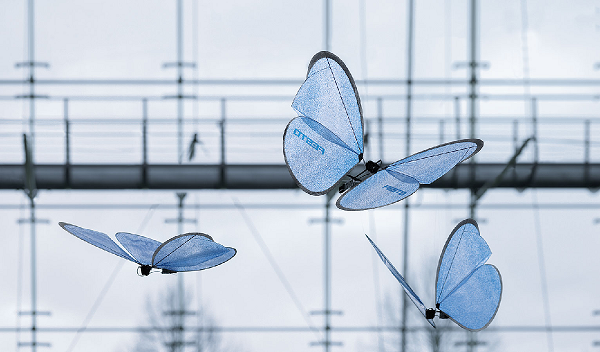 Butterfly robots