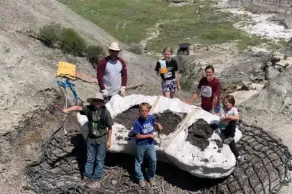 Kids Unearth Real T. Rex Fossil on Hike