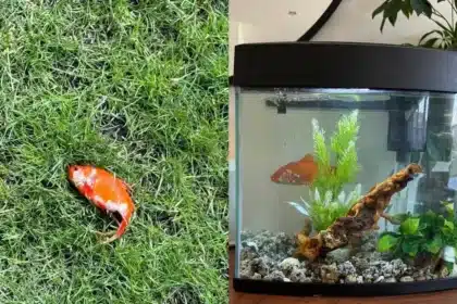 Social Media Erupts Over Doc's Mystery Fish Find!