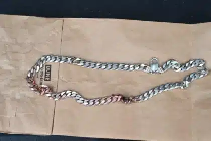 Metal Marvel: Necklace Becomes Lifesaver in Colorado