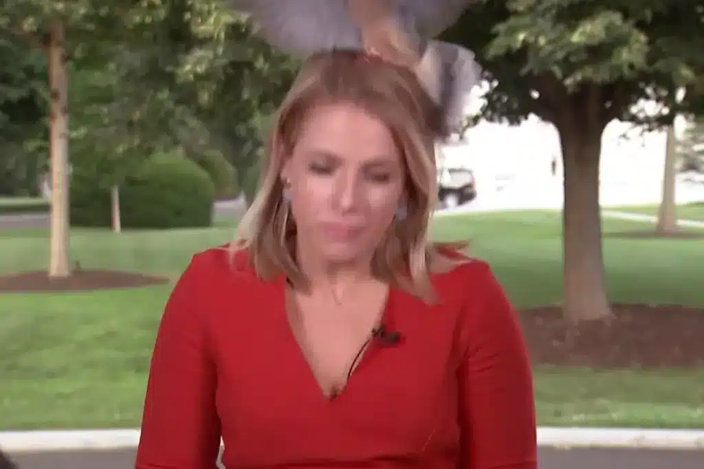 Bird Bombs White House Reporter's Head in Hilarious Live Broadcast Mishap