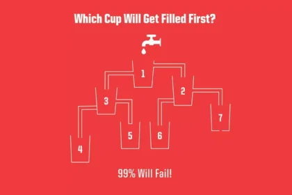Solve This Water Flow Brainteaser in 8 Seconds!