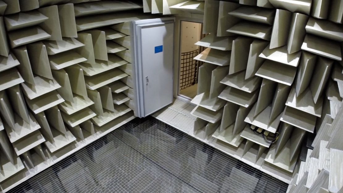 Why the World's Quietest Room Can Drive You Crazy