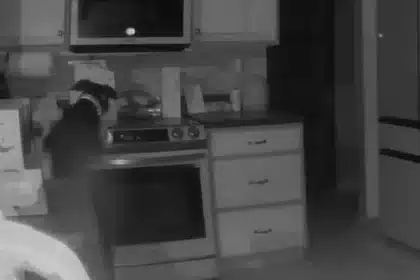 Colorado Dog Starts Fire, Family Loses Home!