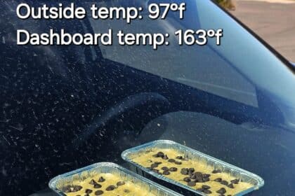 Park Rangers get creative, Bake Banana bread using car's heat in Arizona desert