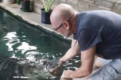 Buffalo Man Fights to Reclaim His Beloved 11-Foot Albert the Alligator