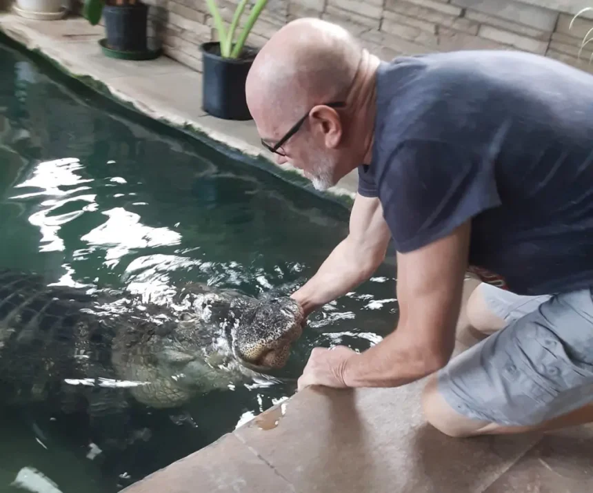 Buffalo Man Fights to Reclaim His Beloved 11-Foot Albert the Alligator