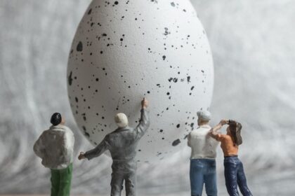 strange news around the world