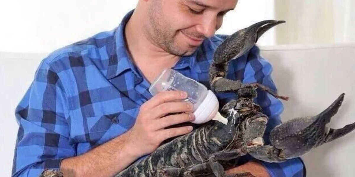 grown up man bottle feeding milk to a sea creature