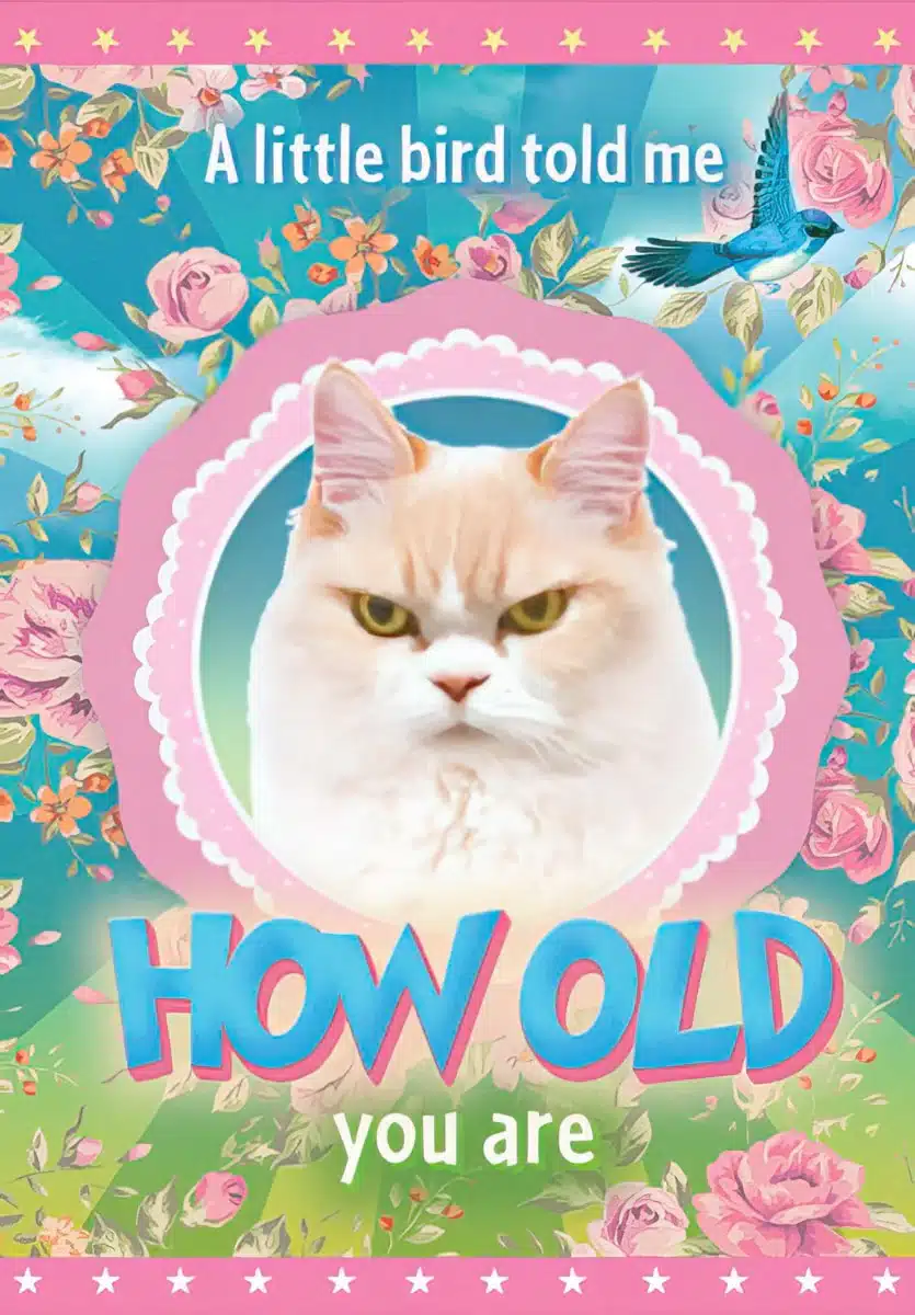funny birthday cards