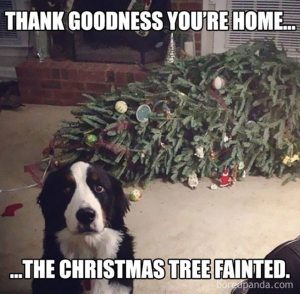 Funny Christmas Memes