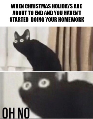 Funny Christmas Memes