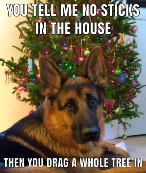 Funny Christmas Memes