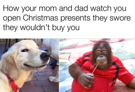 Funny Christmas Memes