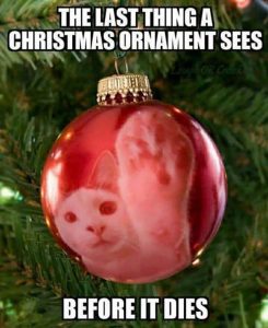 Funny Christmas Memes