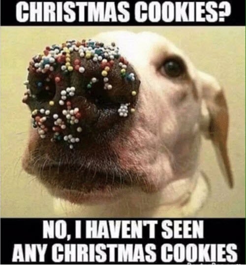 36) Christmas Cookies