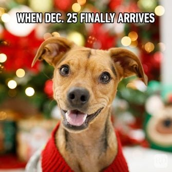 40) Tis’ the season