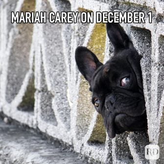 43) It’s that time of year again