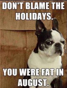 Funny Christmas Memes