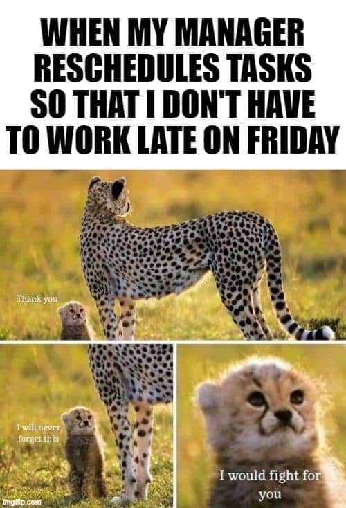 Friday meme funny