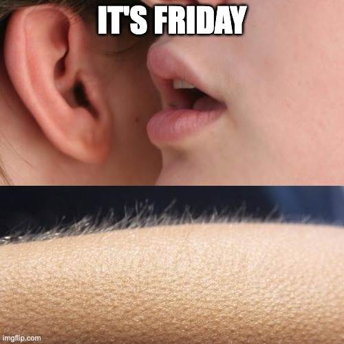 Friday meme funny