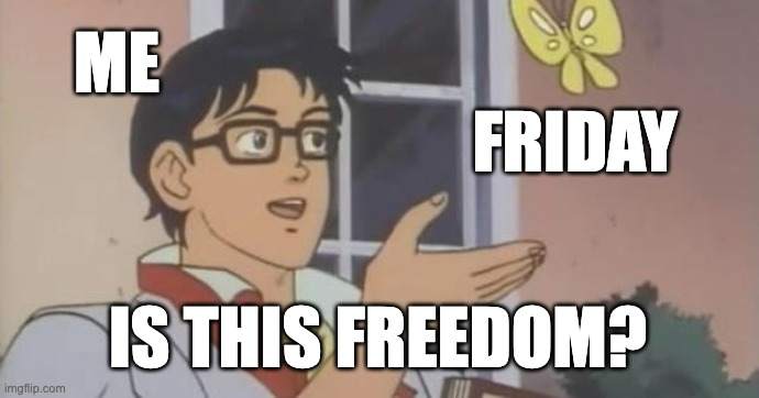 hilarious memes
