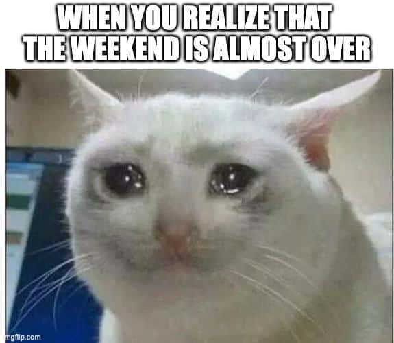 hilarious memes