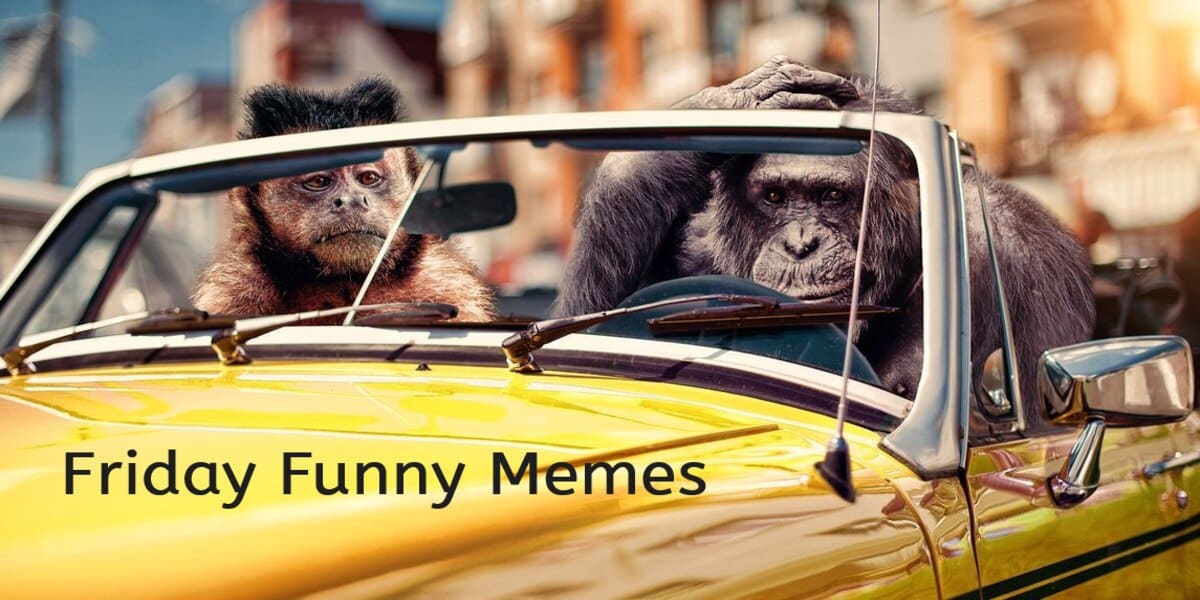 Friday meme funny