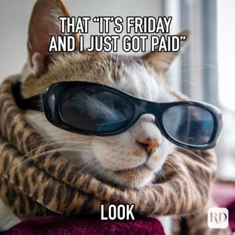 Friday meme funny