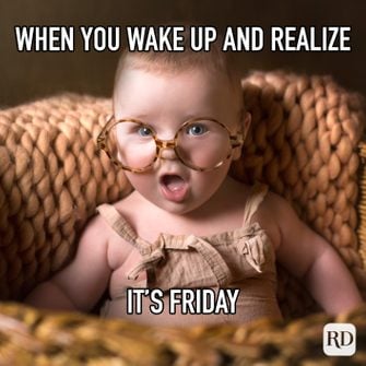 hilarious memes