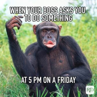 Friday meme funny