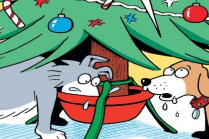 Funny Christmas Cards