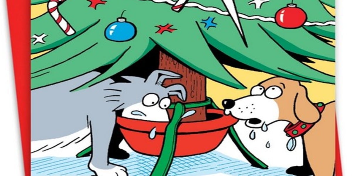 Funny Christmas Cards