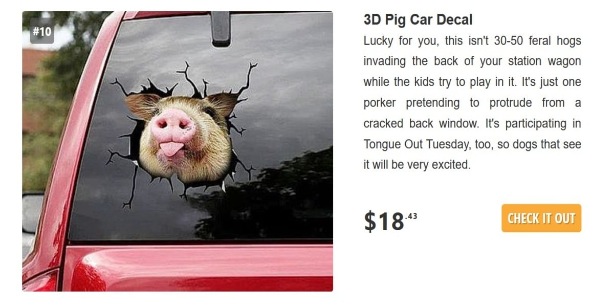 funny bumper stickers
