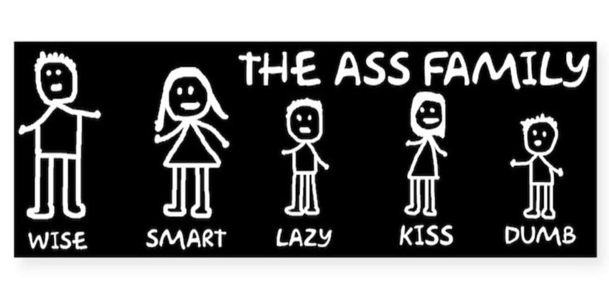 funny bumper stickers