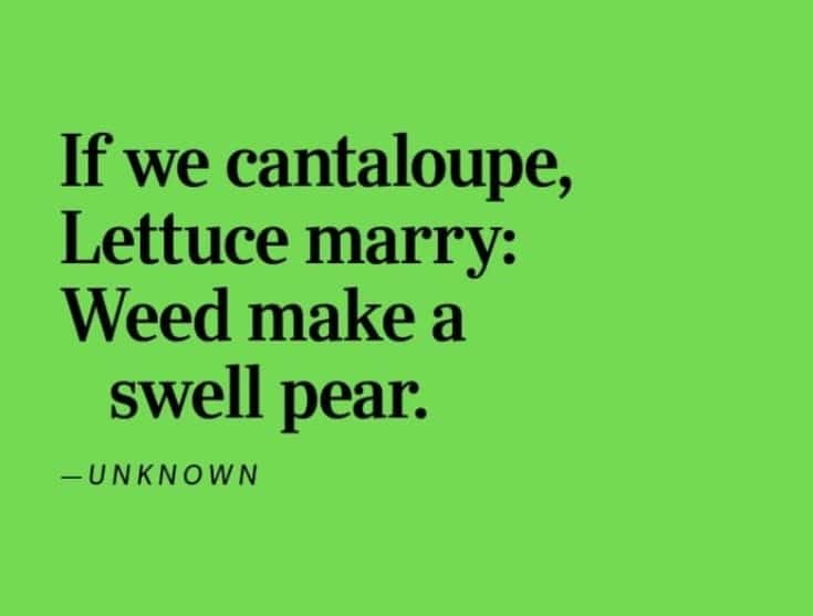 funny poems
