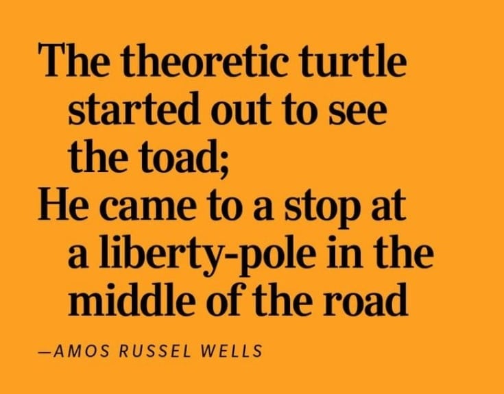 "The Theoretic Turtle" by Amos Russel Wells