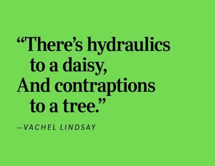 "The Horrid Voice of Science" by Vachel Lindsay