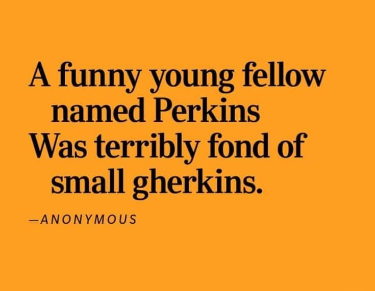 "Funny Young Fellow" by Anonymous