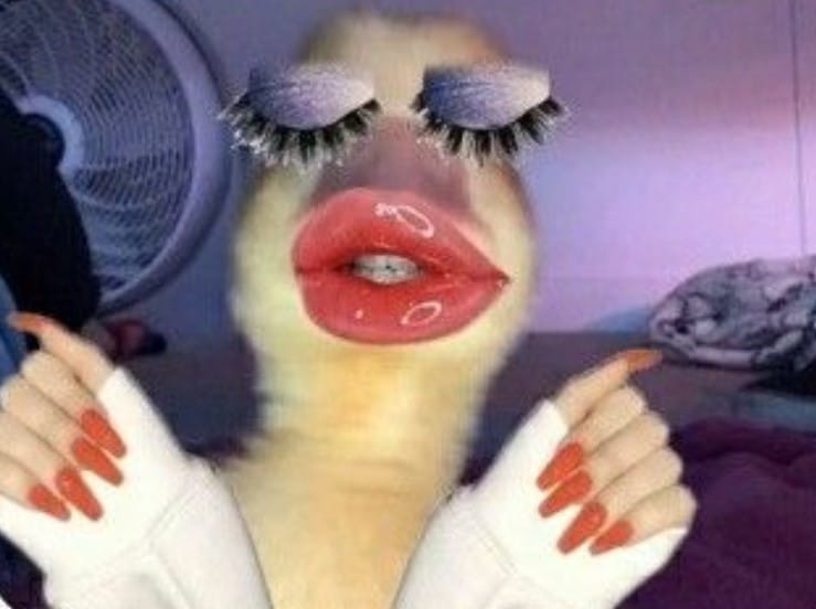 funny profile pics