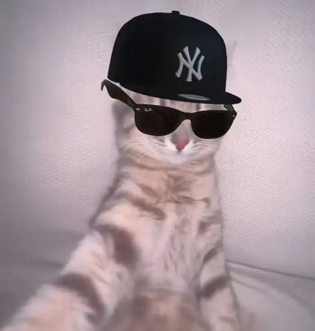 funny profile pics