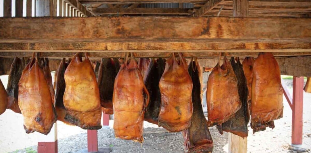 Bizarre Foods with Andrew Zimmern