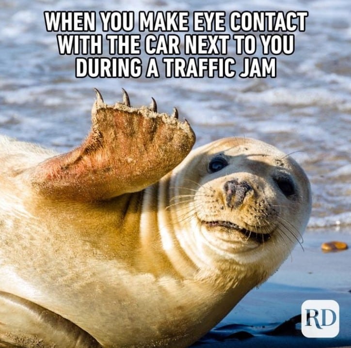 Traffic jam