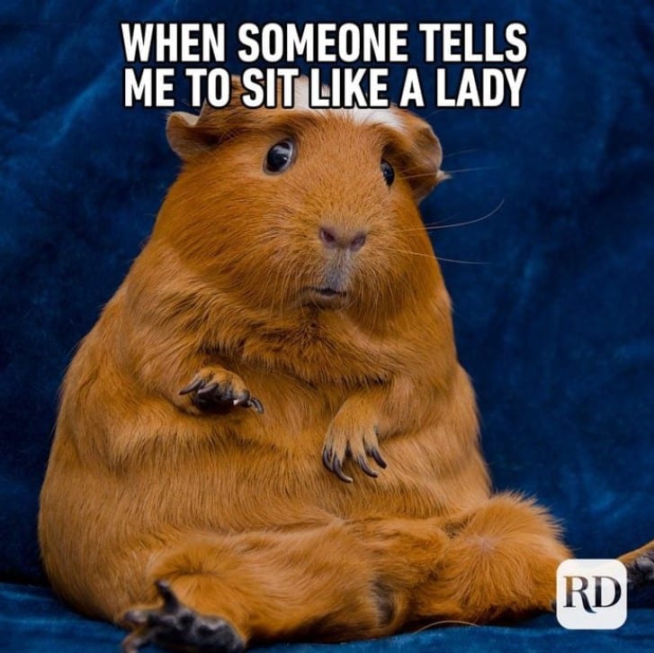 Manners!