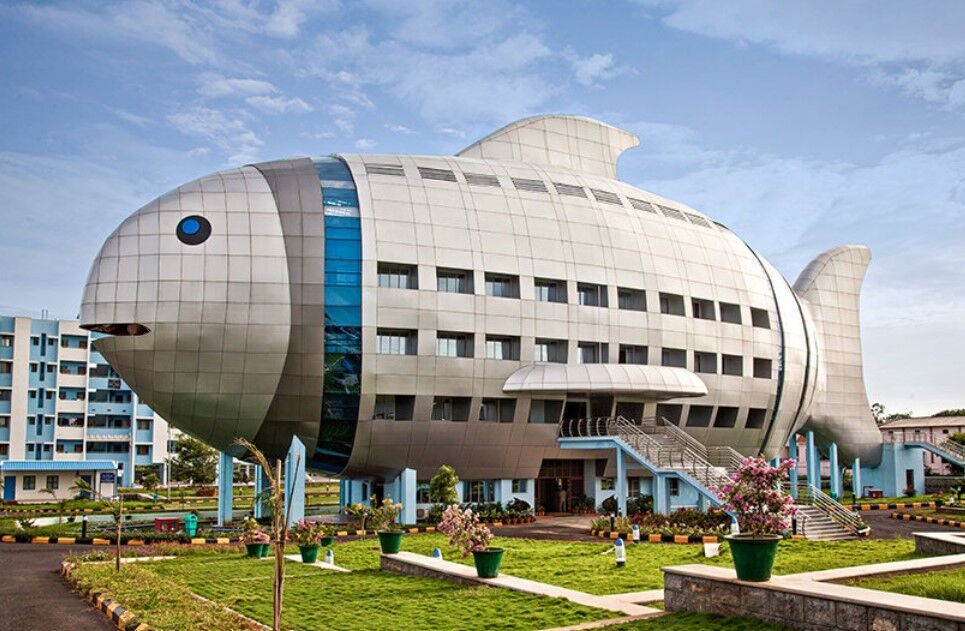 National Fisheries Development Board