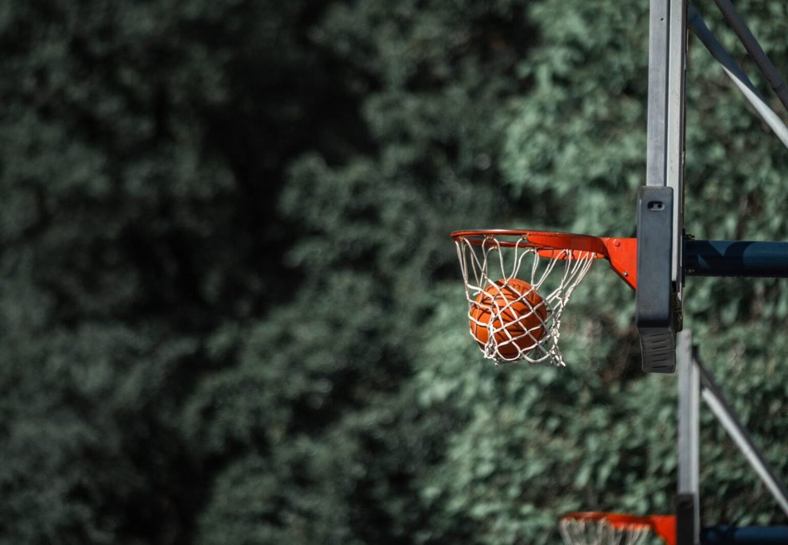 Close-up of a basketball scoring through a hoop outdoors with lush green background.