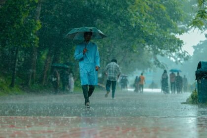 A man in blue walking under heavy rain with umbrella on a tree-lined path.